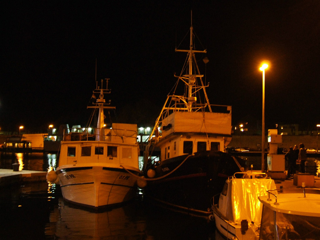 Zadar by night, Kroatien - Hintergrundbild gratis