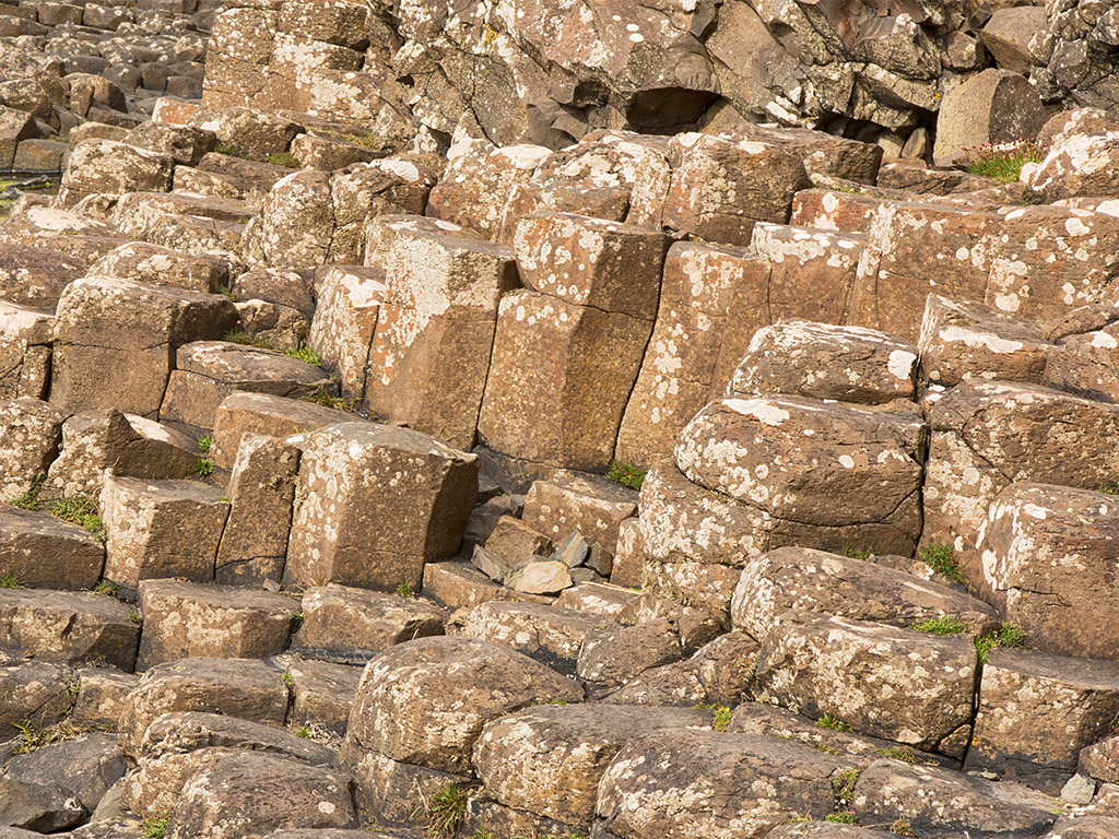 Der Damm des Riesen - Giant's Causeway