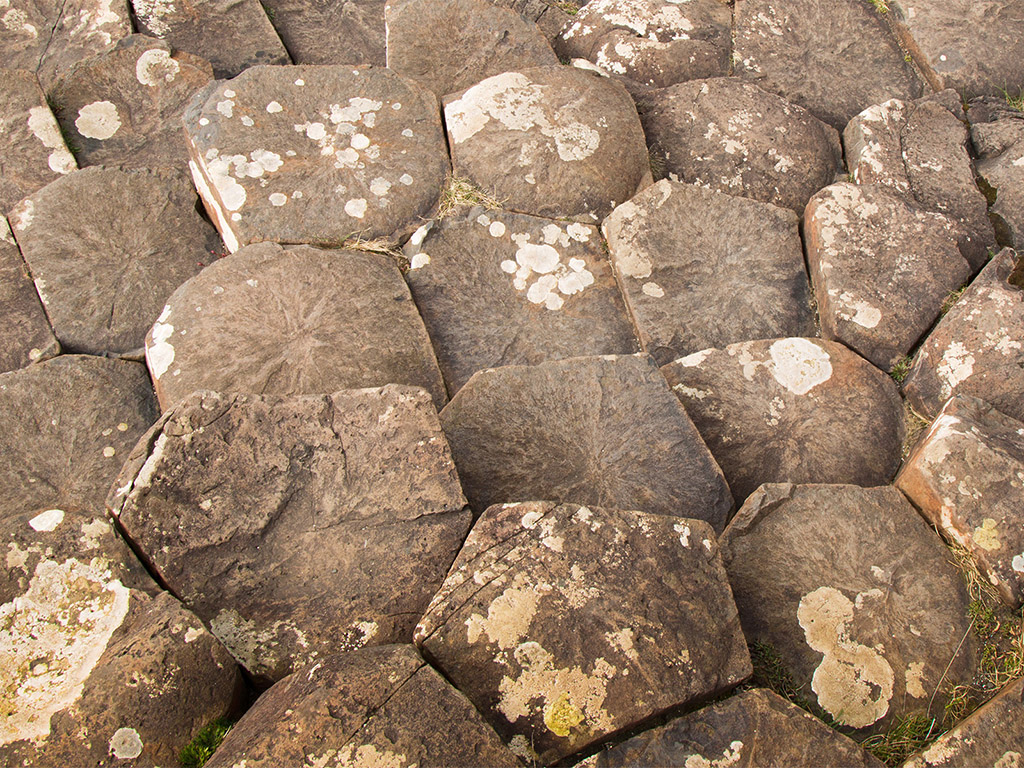 Der Damm des Riesen - Giant's Causeway