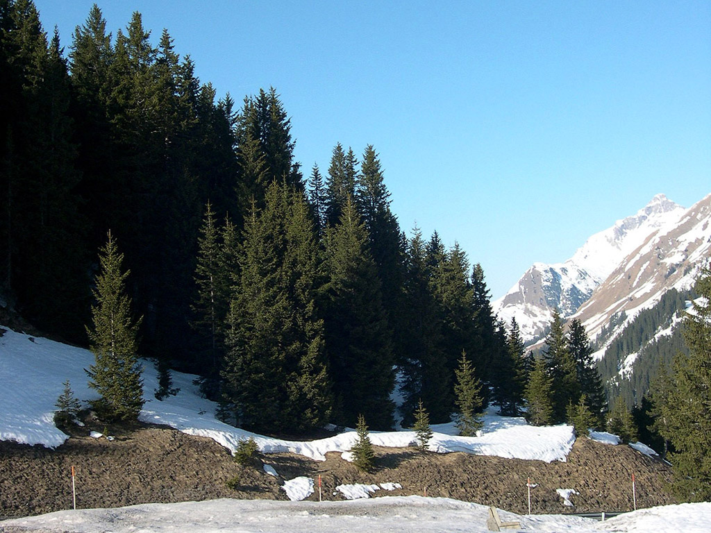 Die Alpen im Winter - Hintergrundbild gratis