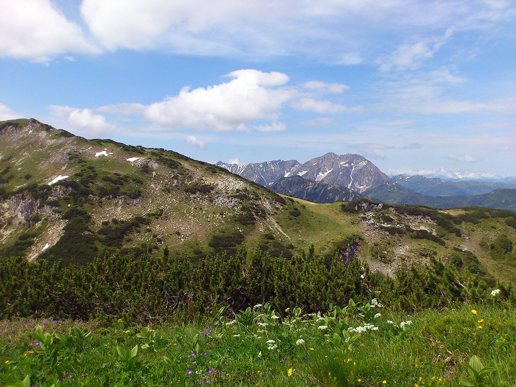 Die Alpen 101