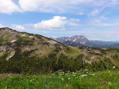 Die Alpen im Sommer