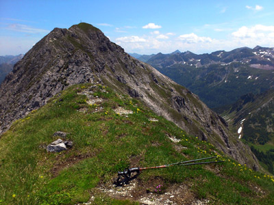 Die Alpen im Sommer