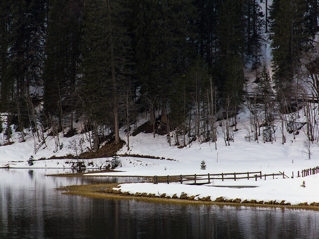 Der Jägersee in Kleinarl 007