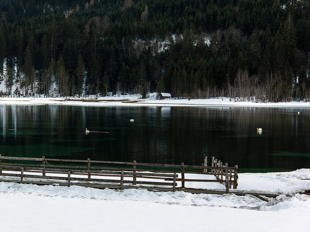 Der Jägersee in Kleinarl 011