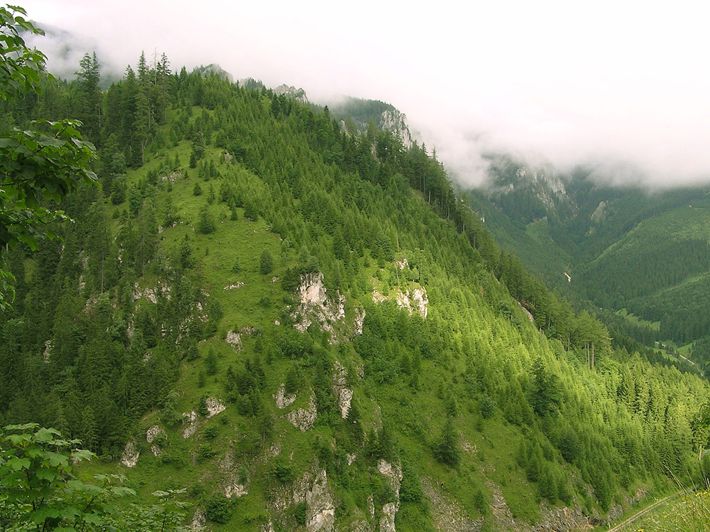 Ősterreich - Hintergrundbild gratis