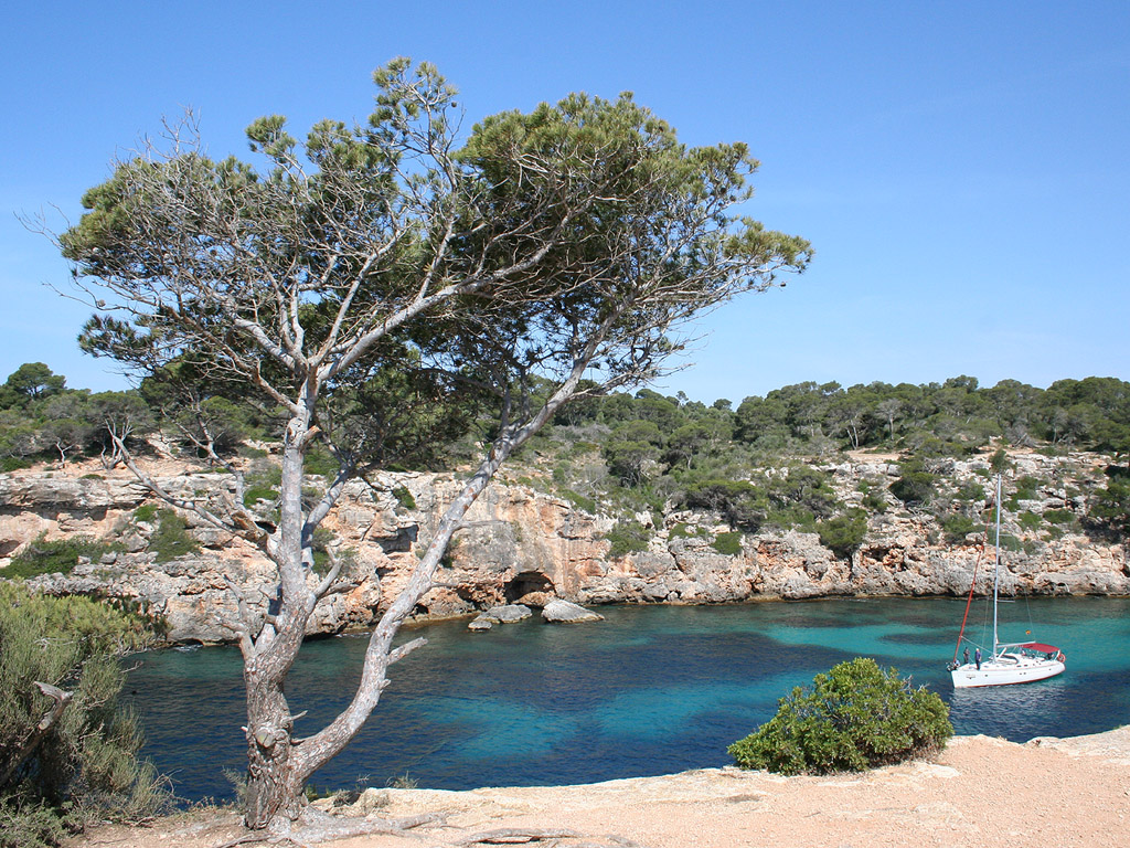 Mallorca, Spanien - Kostenloses Hintergrundbild