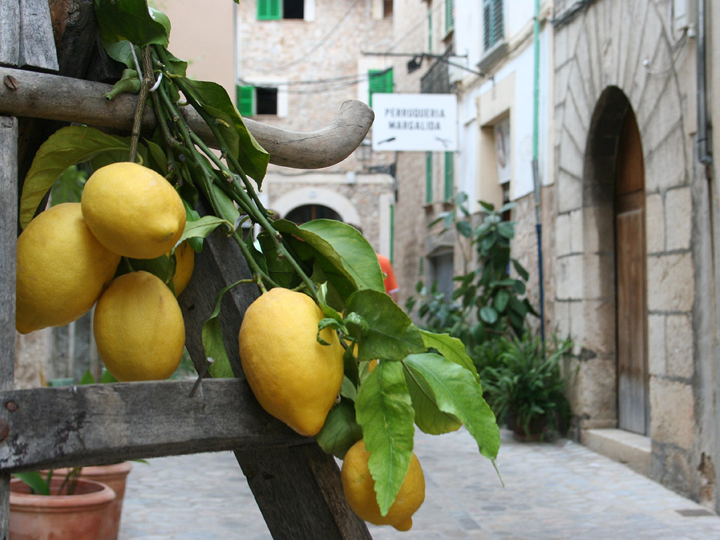 Mallorca, Spanien - Kostenloses Hintergrundbild