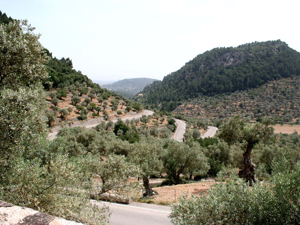 Mallorca, Spanien - Kostenloses Hintergrundbild