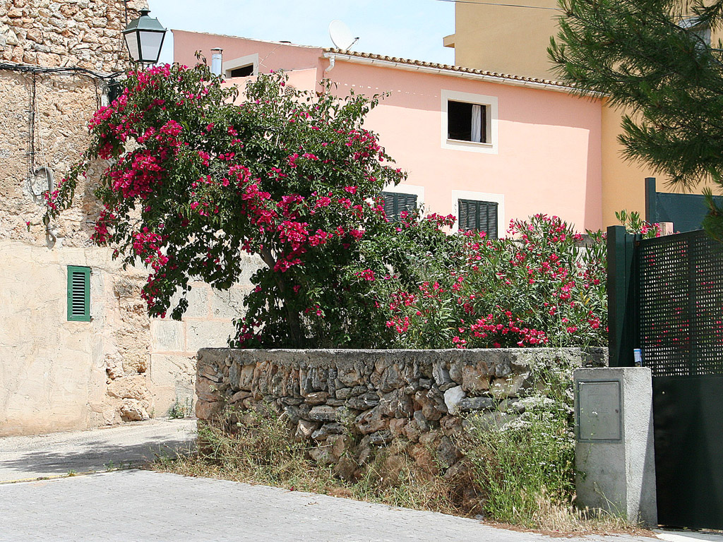 Mallorca, Spanien - Kostenloses Hintergrundbild