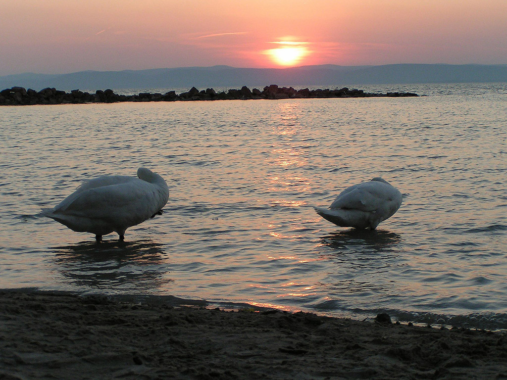 Plattensee (Balaton) - Ungarn