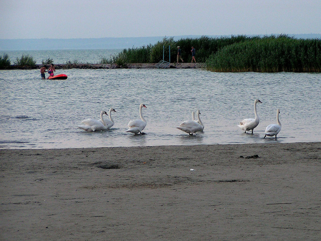 Plattensee (Balaton) - Ungarn