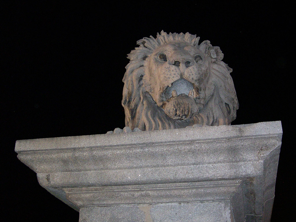 Budapest, Ungarn - Ein Löwe der Kettenbrücke bei Nacht