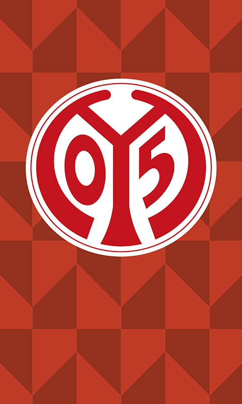 1. FSV Mainz Handy Bild