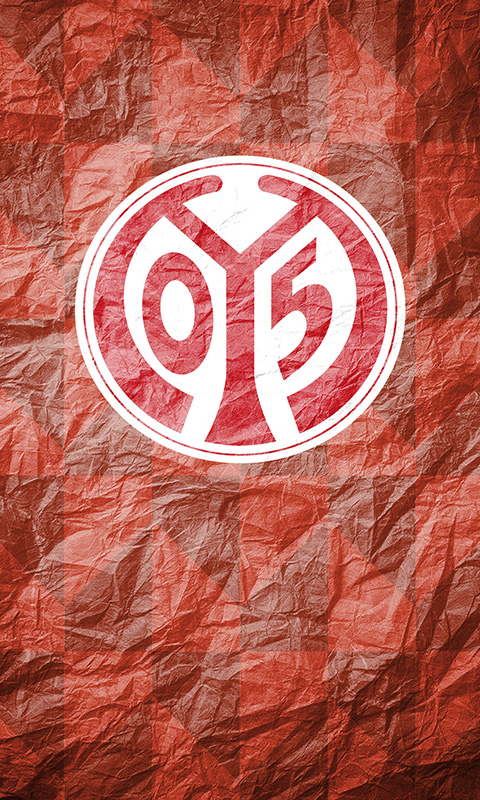 1. FSV Mainz Handy Bild