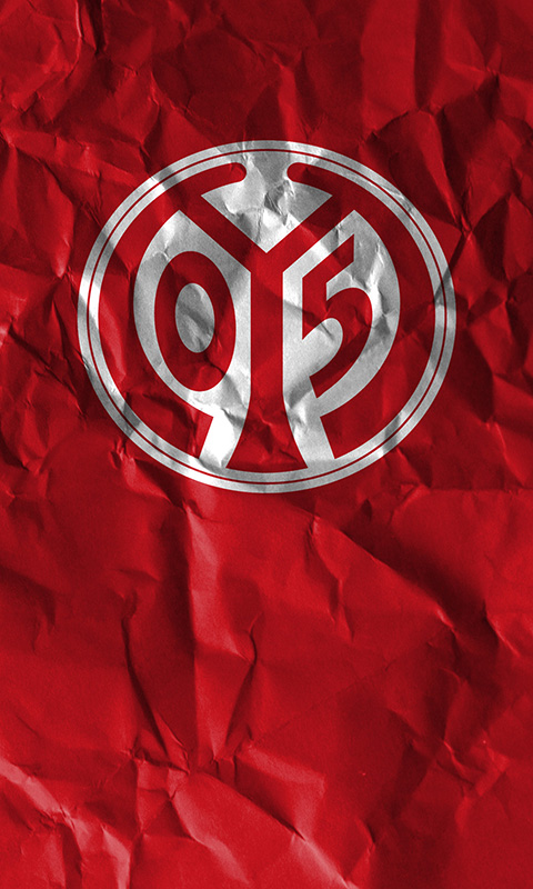 1. FSV Mainz Handy Bild