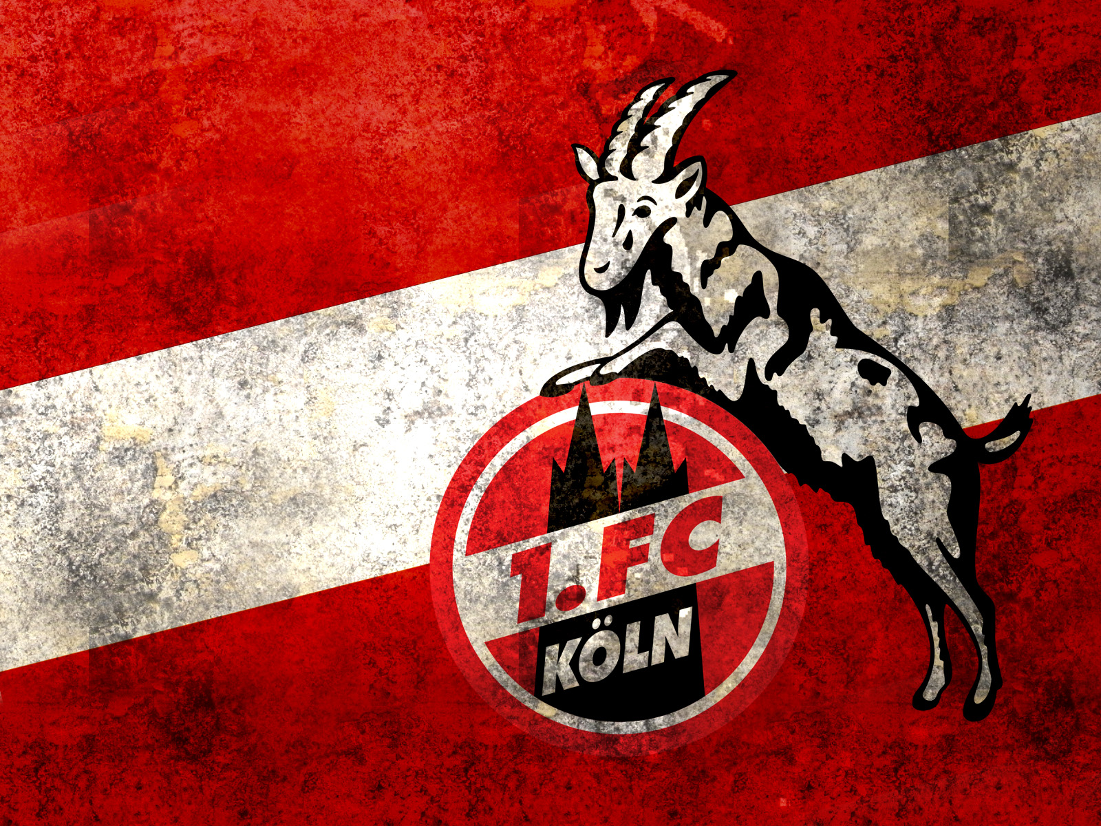 1. FC Köln - Bilder