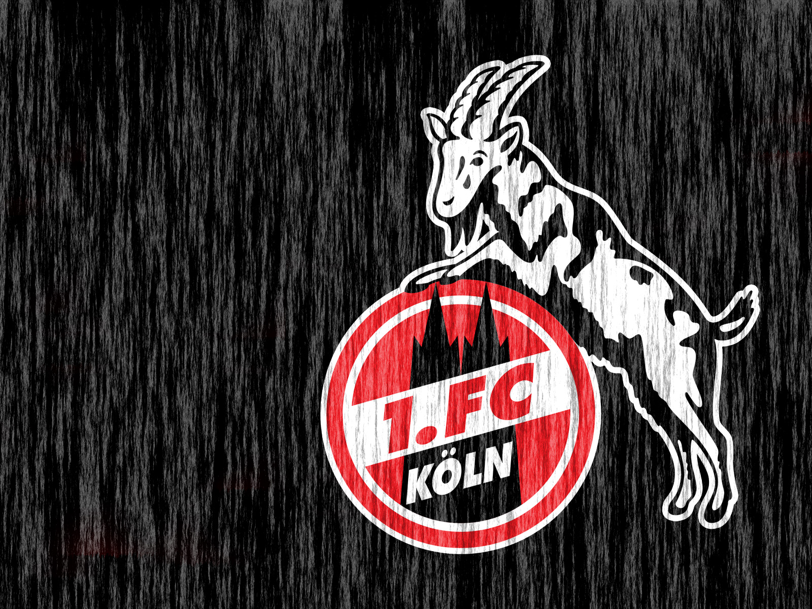 1. FC Köln - Bilder