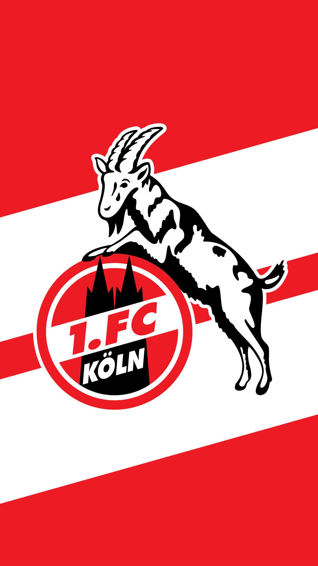 1. FC Köln - Bilder