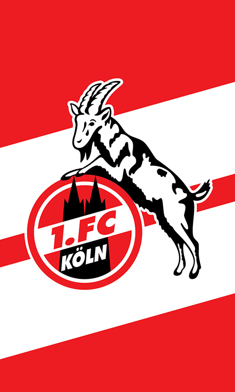 1. FC Köln Handy