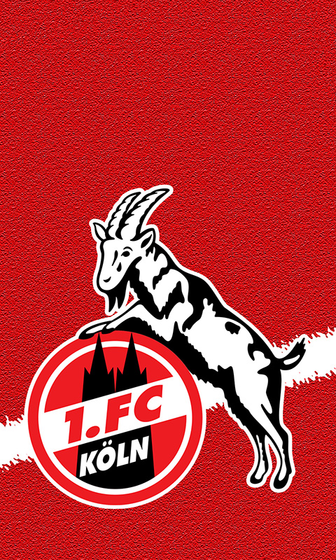 1. FC Köln Handy