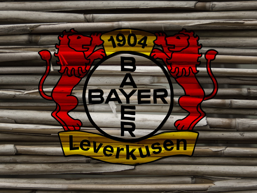 Bayer Leverkusen #003