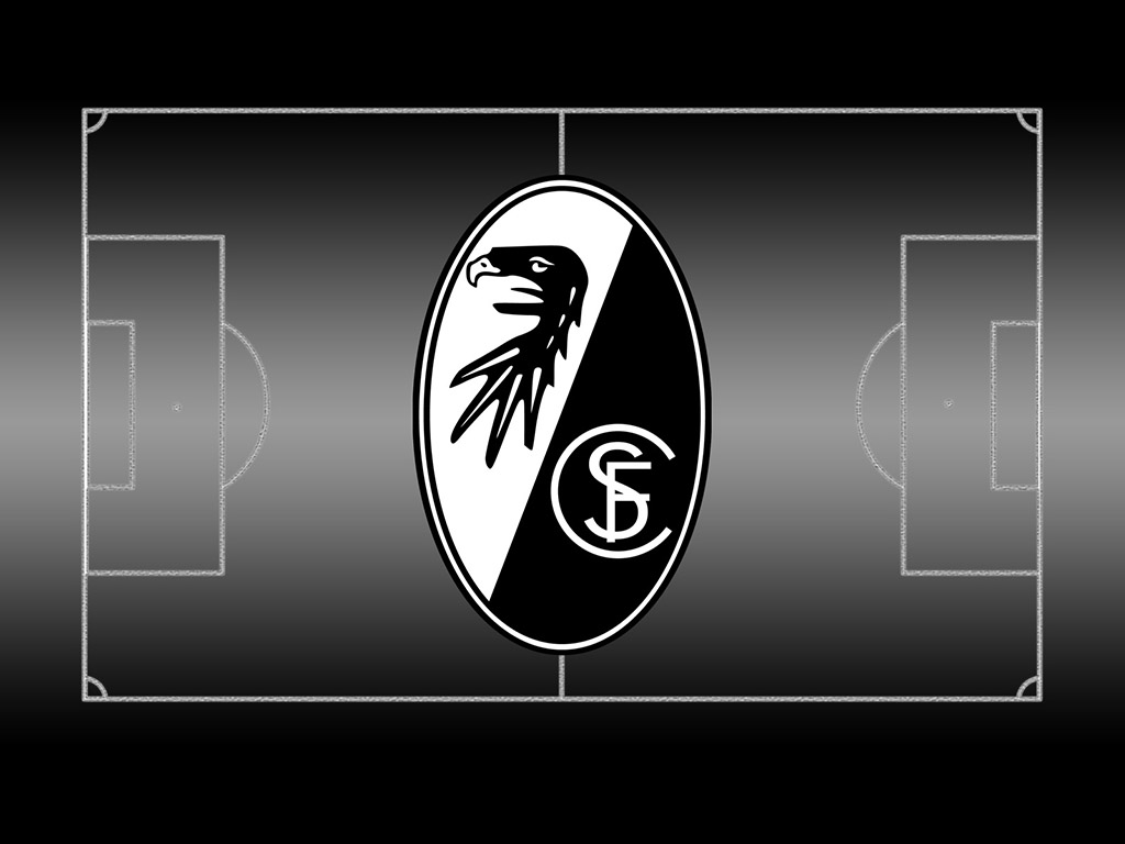 Bundesliga Fussballfeld #023