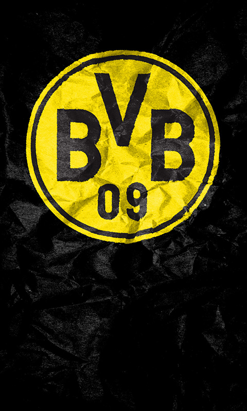 BVB 09