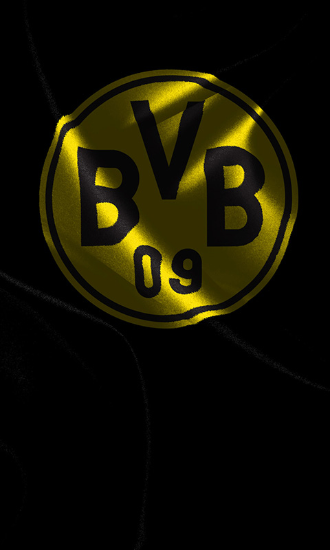 BVB 09