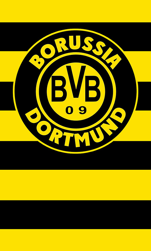 BVB 09