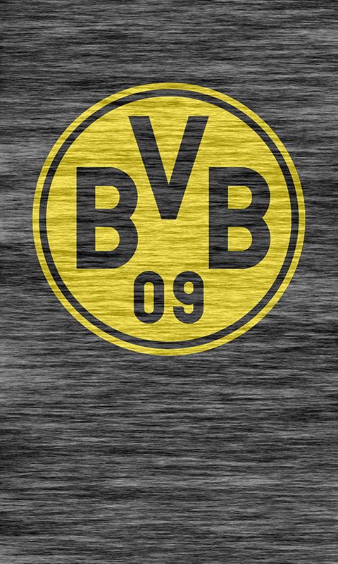 BVB 09