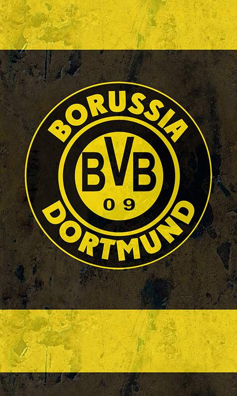 BVB 09