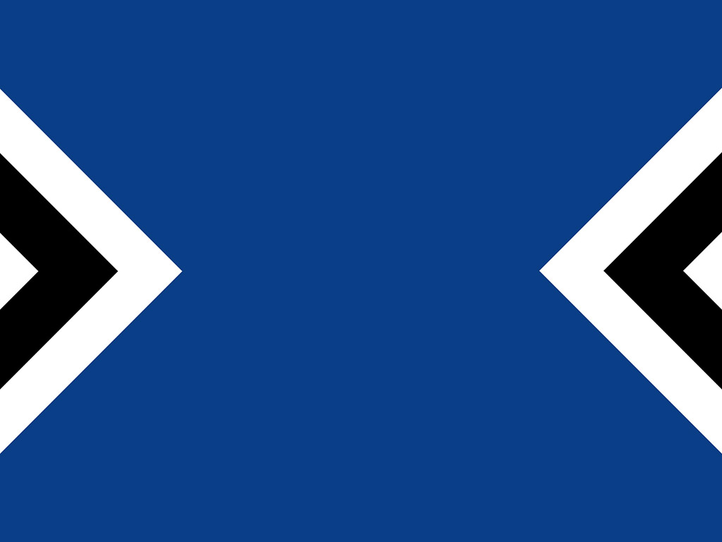 Hamburger SV #003