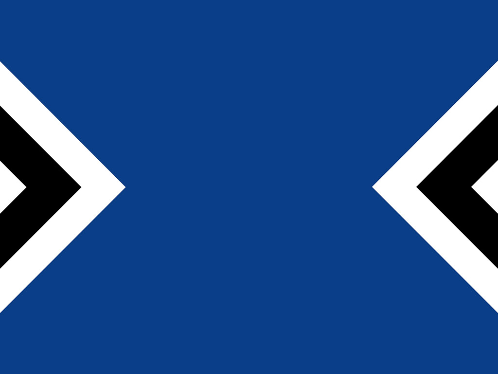 Hamburger SV - Fussball - Bundesliga