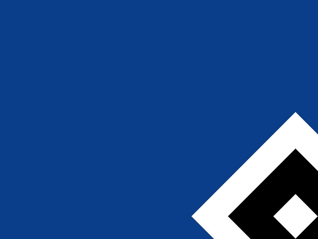 Hamburger SV #013