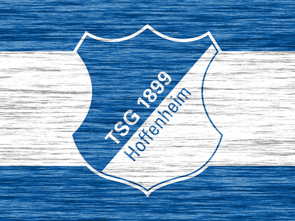 TSG 1899 Hoffenheim #009