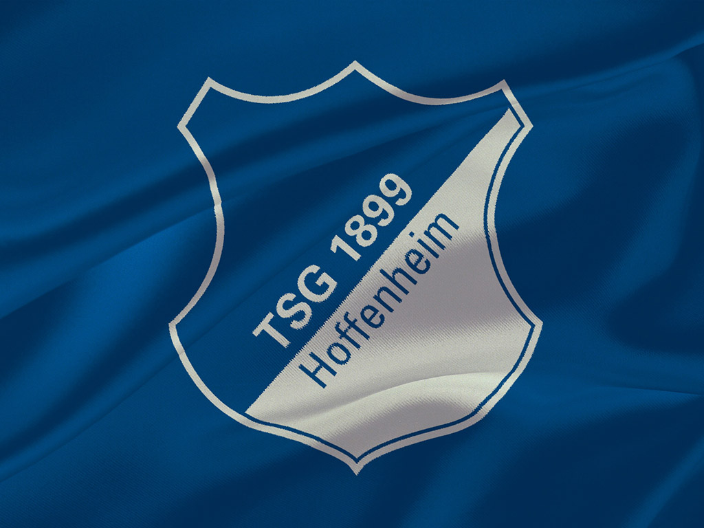 Fussball Hoffenheim