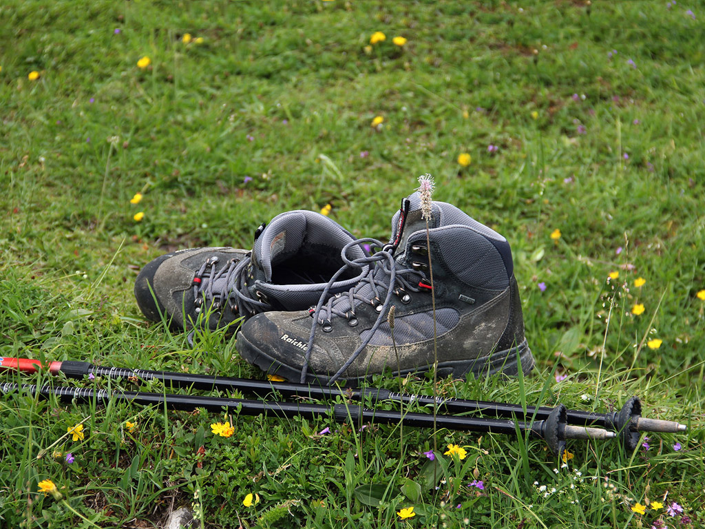 Wanderschuhe - Wandern in den Alpen - Sommer