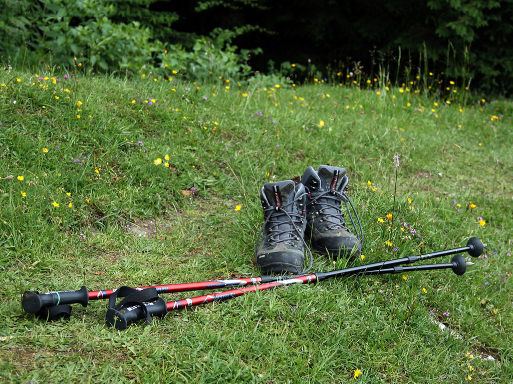 Wanderschuhe - Wandern in den Alpen - Sommer