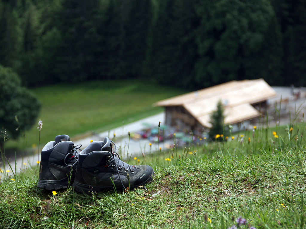 Wanderschuhe - Wandern in den Alpen - Sommer