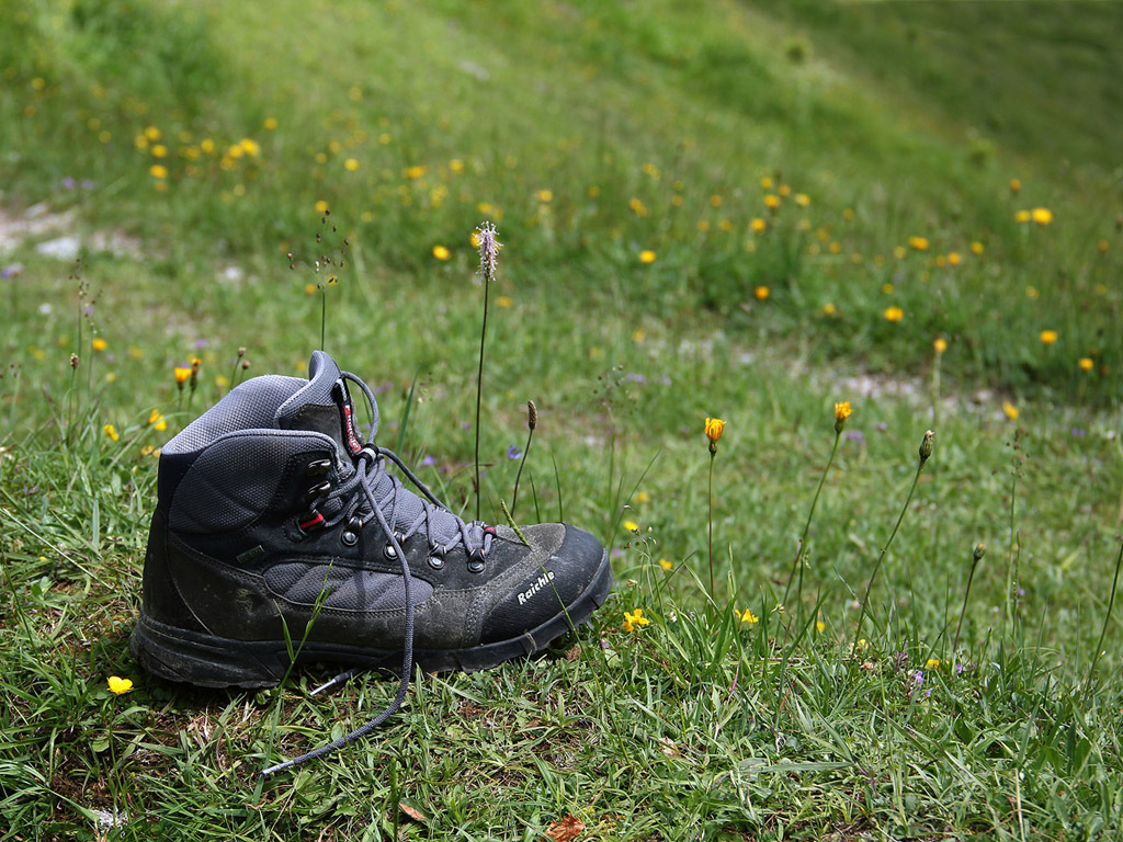 Wanderschuhe - Wandern in den Alpen - Sommer