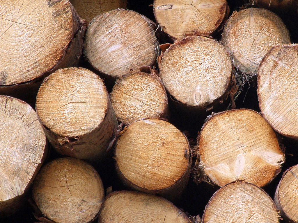 Holz - Hontergrundbild kostenlos