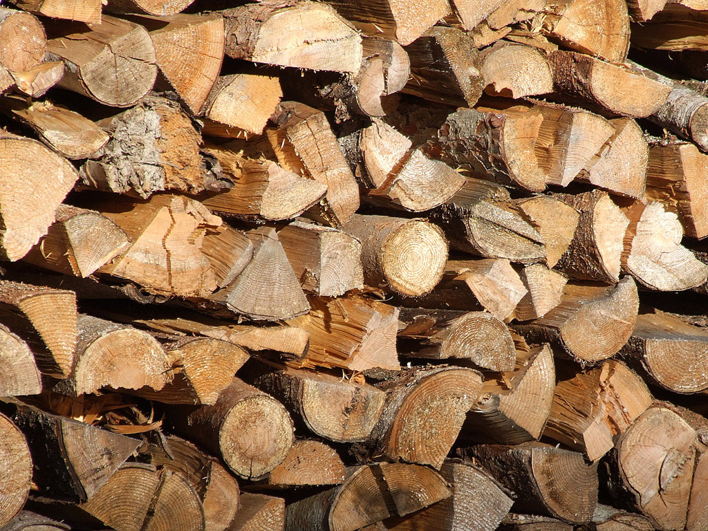 Holz 003