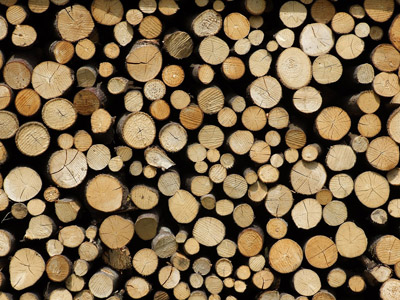 Textur: Holz