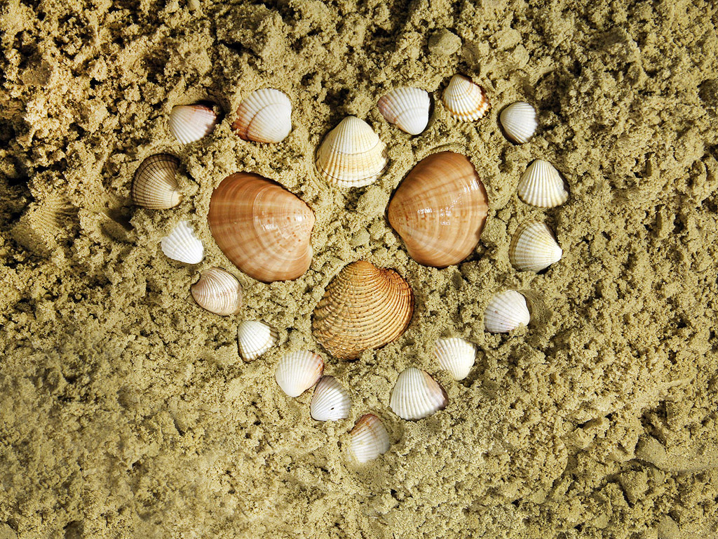 Ein Herz im Sand (Muscheln) - Hintergrundbild kostenlos