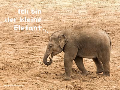 Ich bin der kleine Elefant