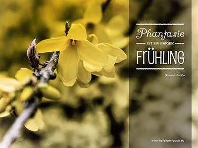 Die Phantasie ist ein ewiger Frühling - Friedrich Schiller