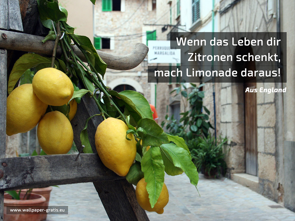 Wenn das Leben dir Zitronen schenkt, mach Limonade daraus!