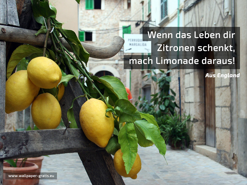 Wenn das Leben dir Zitronen schenkt... Hintergrundbild