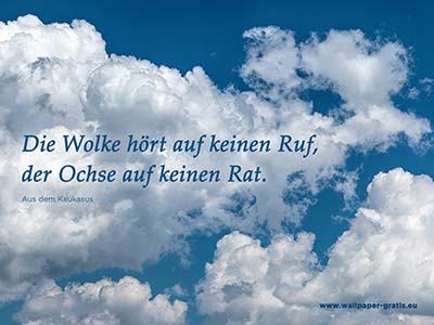 Die Wolke hört auf keinen Ruf, der Ochse auf keinen Rat.